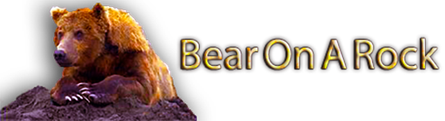 Bear On A Rock Bear On A Rock